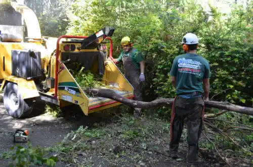 tree services Paw Paw